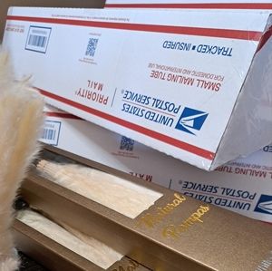 Buy In Bulk 20 Pampas Grass in luxury Box!!Office decor! Wedding decor!..more!!